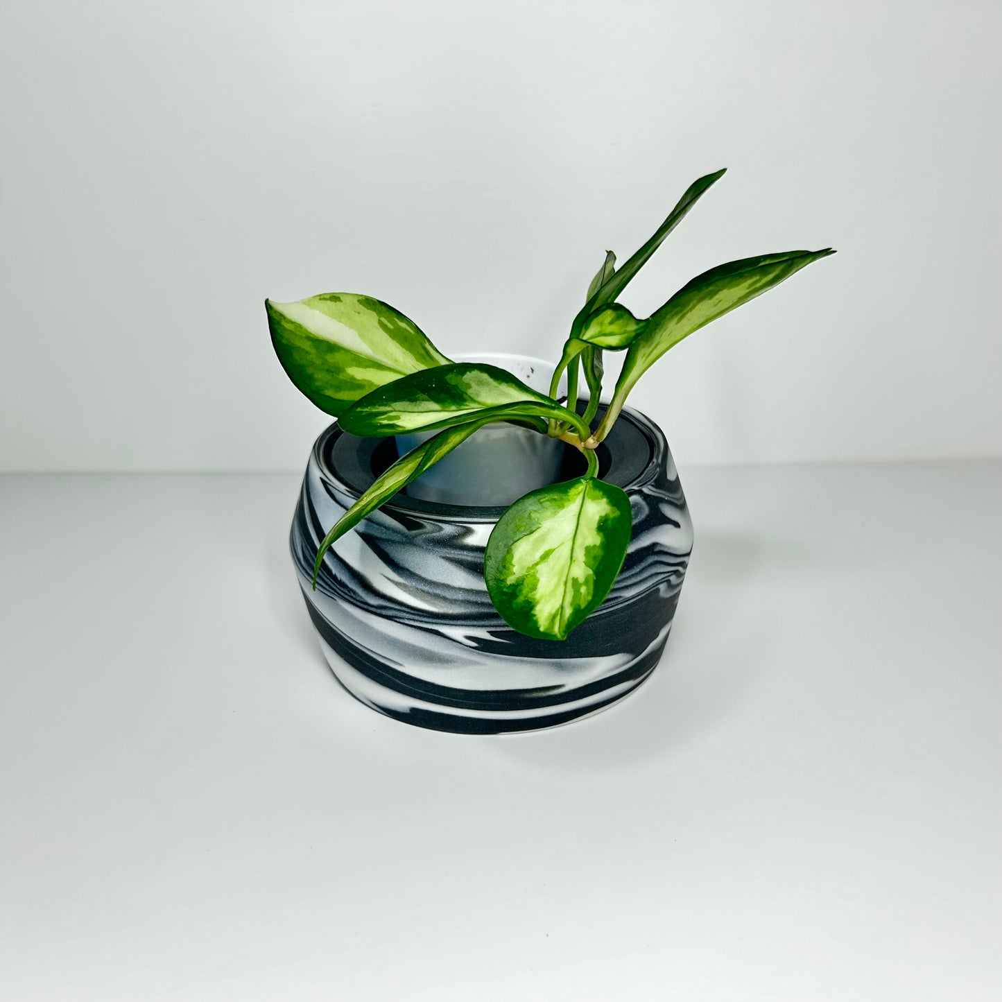 Black and White Angular Planter