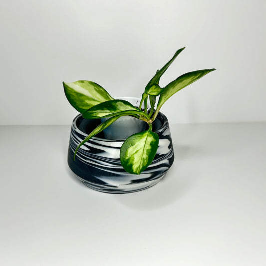 Black and White Angular Planter